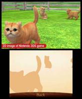Nintendogs + Cats Retriever - thumbnail