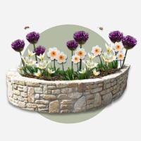Dry garden 35 bloembollen - thumbnail