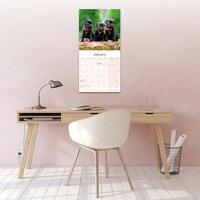 Staffordshire Bull Terrier Puppies Kalender 2026 - thumbnail