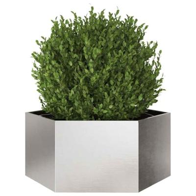 VidaXL Plantenbak zeshoek 104x90x45 cm roestvrijstaal
