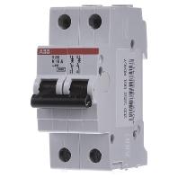 ABB 2CDS252001R0467 S202-K16 Zekeringautomaat 2-polig - thumbnail