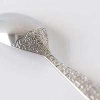 ALESSI - Dressed 18/10 - Theelepel 13,5cm - thumbnail