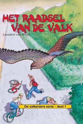 Het raadsel van de valk - Leendert van Wezel - ebook