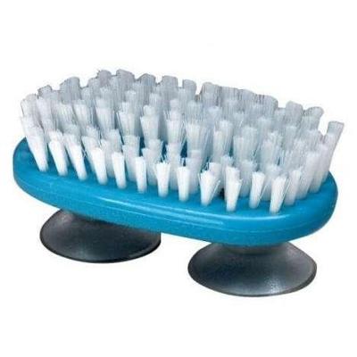 Hand- en nagelborstel met zuignappen