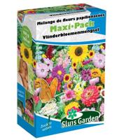 MaxiPack Vlinderbloemen zaden 100 m² - thumbnail