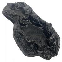 Express beekloop medium - thumbnail