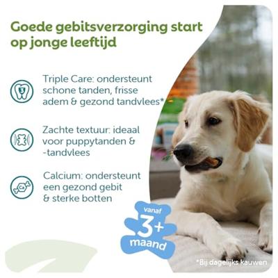 Onze Puppysnacks ondersteunen de orale gezondheid van uw puppy: ze zijn ontworpen om tandplak en tandsteen tegen te gaan. Verkrijgbaar in twee vormen waar uw puppy dol op zal zijn, en in twee maten.