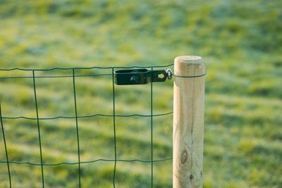 Spandraad geplastificeerd dia. 3mmx10m Nature - Nature