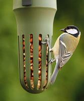 SingingFriend Max Vogelvoeder - thumbnail