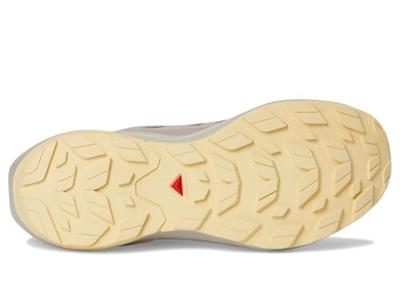 Salomon Elixir Activ GTX Lage Wandelschoen Dames Iron/Etherea/Tuc Sunlight 7