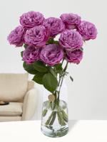 10 paarse rozen uit Ecuador - thumbnail