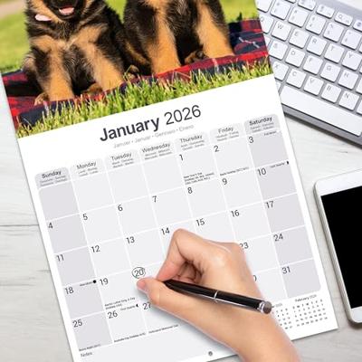 German Shepherd Calendar 2026 Square Dog Breed Wall Calendar - 16 Month