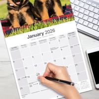 Duitse Herder Kalender 2026 - thumbnail