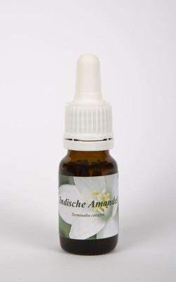 Star Remedies Indische amandel 10 Milliliter