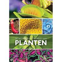 Wonderlijke Wereld Van Planten - DVD (8718754400619) - thumbnail