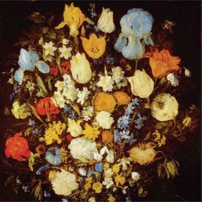 Navigated Like The Swans - LP (0656605463216) Navigated Like The Swans - LP (0656605463216)