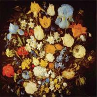 Navigated Like The Swans - LP (0656605463216) - thumbnail