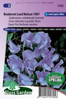 Lathyrus Odoratus zaden Lord Nelson 1907 reukerwt - thumbnail