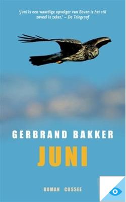 Juni - Gerbrand Bakker - ebook