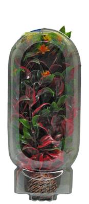 Easy Plant Middel 20 Cm Nr. 6 aquaria Superfish - Superfish