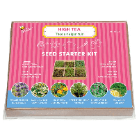 Kweekset mini- thee 6srt Tuinplus - Tuinplus - thumbnail