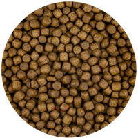 Vivani Grower Vijvervoer 6mm - Premium Visvoeding 6kg voor Groei & Vitaliteit - thumbnail