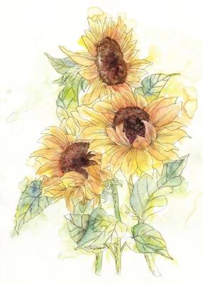 Komar Home; Komar Colours Fotobehang Girasol - X4-1008