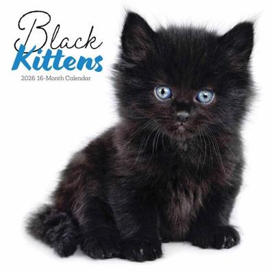Zwarte Kittens Kalender 2026