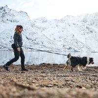 Non-stop dogwear® Hondentuig Rock Harness Long, black/orange, Maat: L - thumbnail