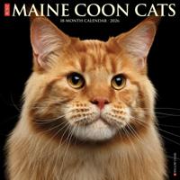 Maine Coon Kalender 2026 - thumbnail