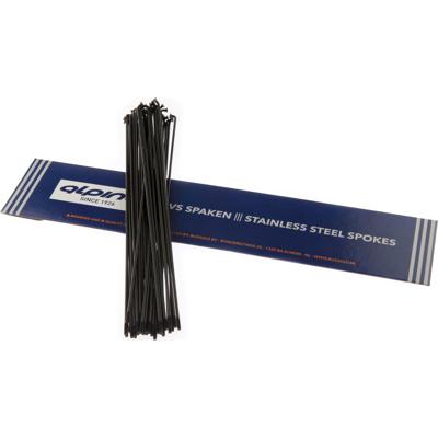 Alpina spaken 13g (2,34mm) 282mm rvs zwart (p36)