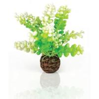 BiOrb Caulerpa groen aquarium decoratie - thumbnail