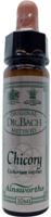 Ainsworths Chicory Bach 10 Milliliter - thumbnail