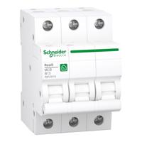 Schneider Electric R9F23313 Zekeringautomaat - thumbnail