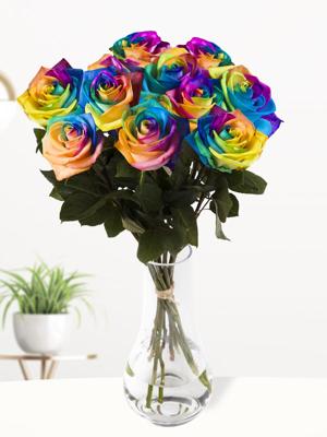 10 regenboog rozen - XL rozen