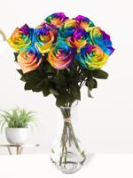 10 regenboog rozen - XL rozen - thumbnail
