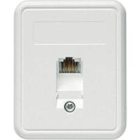 Telegärtner 100022998 Netwerkdoos Opbouw (op muur) CAT 5e 1 poort Alpine-wit - thumbnail