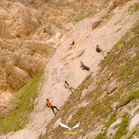 Salewa wildfire 2 gore-tex® - trekking shoes - thumbnail