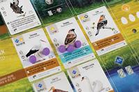 Wingspan uitbreiding: Europa - thumbnail