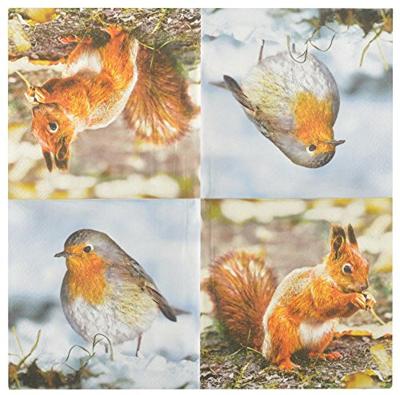 Servet Roodborstje met Eekhoorn / Esschert Design Servet Roodborstje met Eekhoorn / Esschert Design