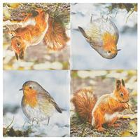 Servet Roodborstje met Eekhoorn / Esschert Design - thumbnail