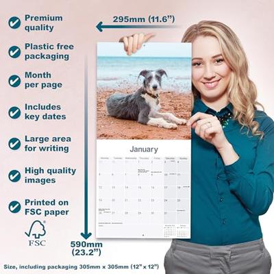Lurcher Kalender 2026 Lurcher Kalender 2026