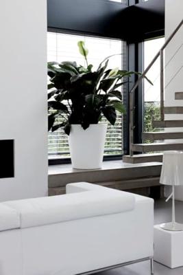 elho pure straight round 65 Binnen/buiten Plantenpot Vrijstaand Lineaire lagedichtheidpolyetheen (LLDPE) Wit