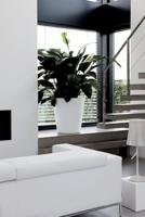 elho pure straight round 65 Binnen/buiten Plantenpot Vrijstaand Lineaire lagedichtheidpolyetheen (LLDPE) Wit - thumbnail