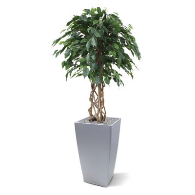 Ficus Exotica bol kunstplant op stam 125cm Ficus Exotica bol kunstplant op stam 125cm