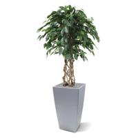 Ficus Exotica bol kunstplant op stam 125cm - thumbnail