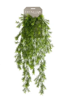 Kunstplant asparagus hanging bush 75cm kunstplant Emerald - Emerald Kunstplant asparagus hanging bush 75cm kunstplant Emerald - Emerald