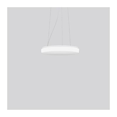 RZB 312090.002.1 LED-hanglamp
