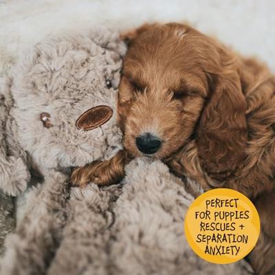 My Dog hond pluche bruin