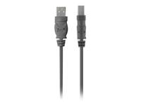 USB 2.0-kabel Belkin F3U154BT3M - thumbnail